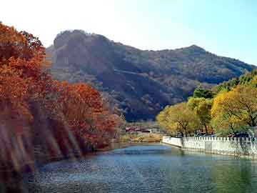 澳门二四六天天彩图库，古曼丽